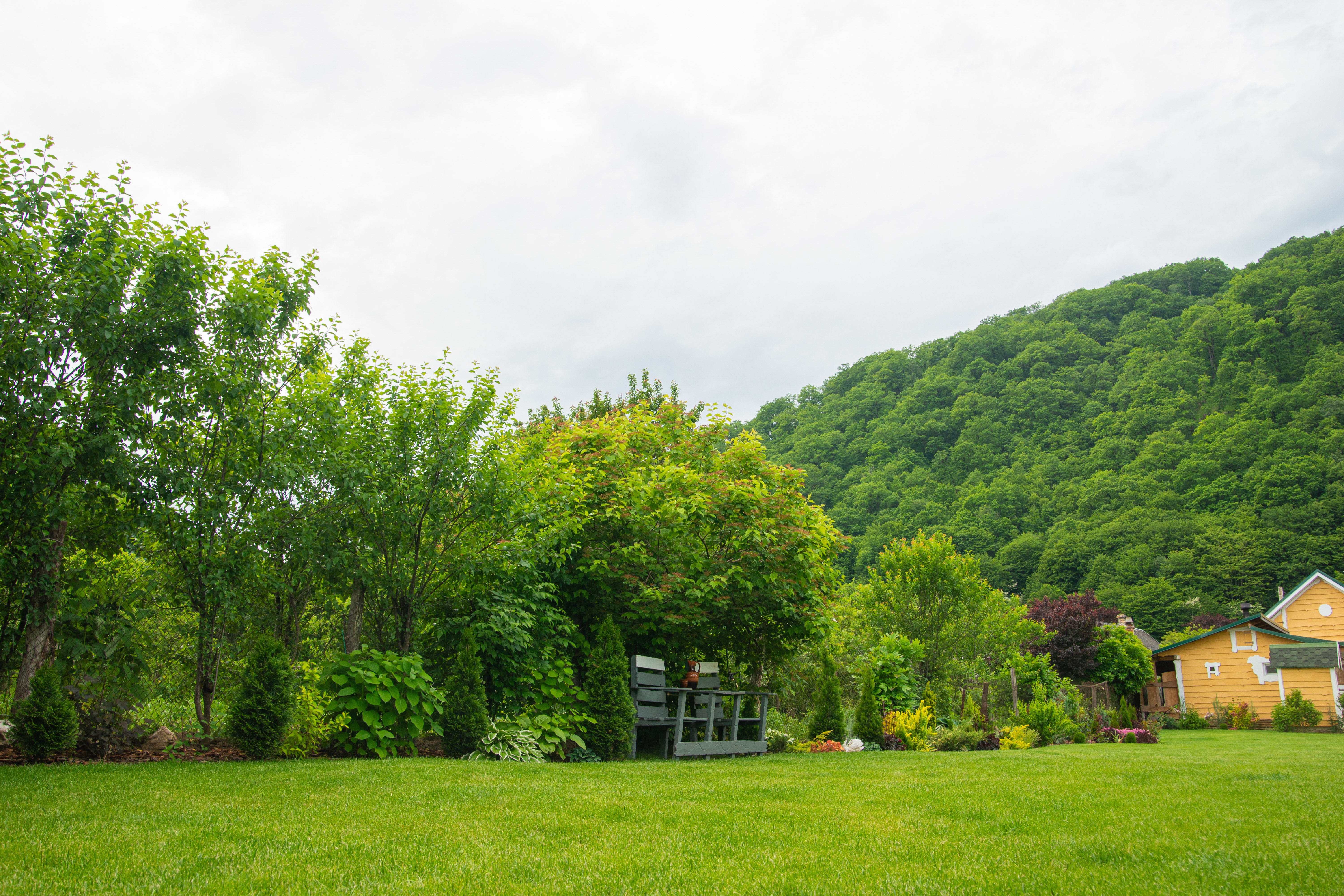 Территория